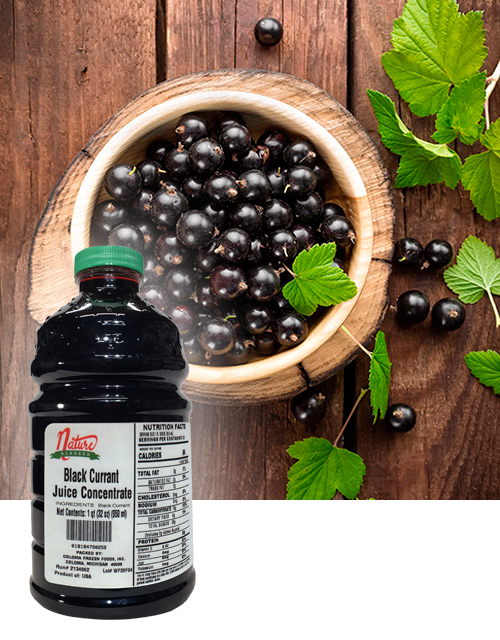 Black currant concentrate fruit bkgd coloma frozen