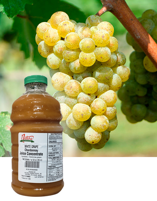 Chardonnay concentrate fruit bkgd coloma frozen