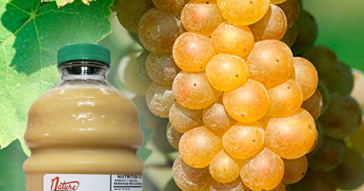 Muscat Grape juice Concentrate for Wine, Beer, Cider, Mead