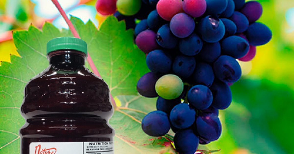 Zinfandel Grape Juice Concentrate for Wine, Beer, Cider, Mead