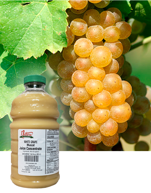 Muscat concentrate fruit bkgd coloma frozen