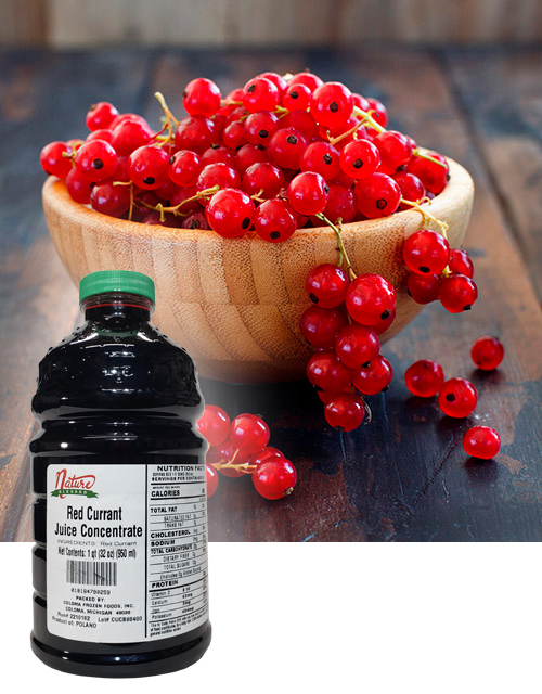 Red currant concentrate fruit bkgd coloma frozen