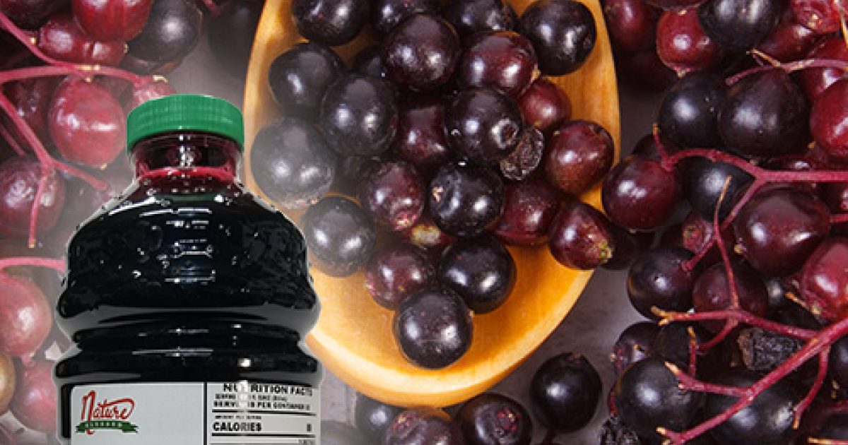 Elderberry Juice Concentrate for home Brewing and Wine making.