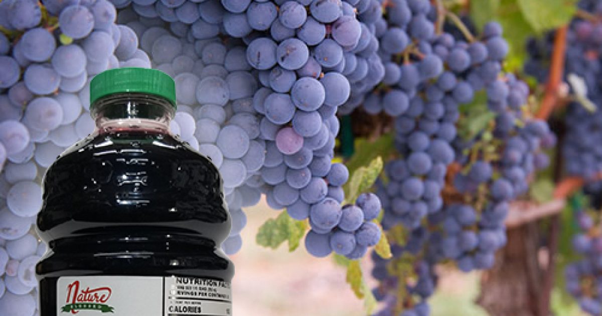 Merlot Grape Juice Concentrate for Wine, Beer, Cider, Mead