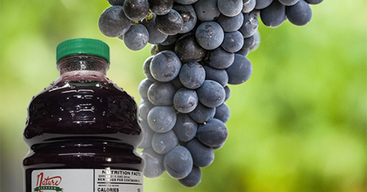 Pinot Noir Grape Juice Concentrate for Wine, Beer, Cider, Mead