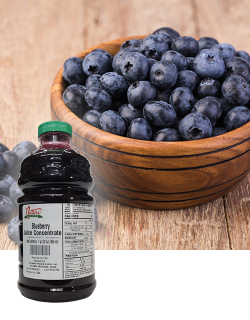 Blueberry concentrate fruit bkgd coloma frozen