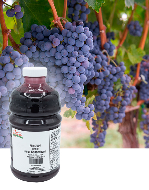 CFF Bottle Fruit Background Merlot