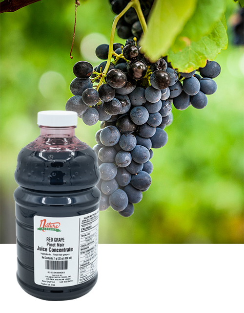 CFF Bottle Fruit Background Pinot Noir