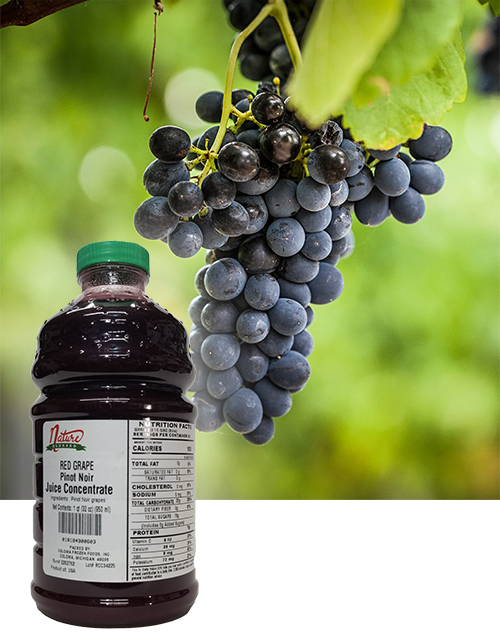 Pinot noir concentrate fruit bkgd coloma frozen