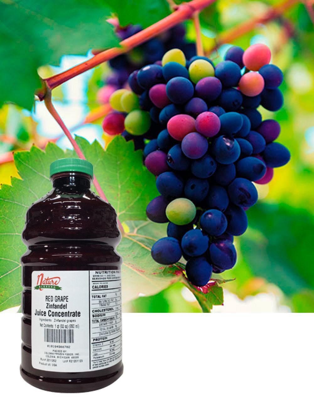 Zinfandel Grape Juice Concentrate for Wine, Beer, Cider, Mead