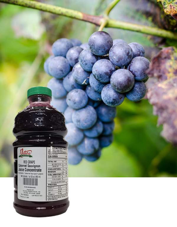 Sauvignon Grape Juice Concentrate for Wine, Beer, Cider,…
