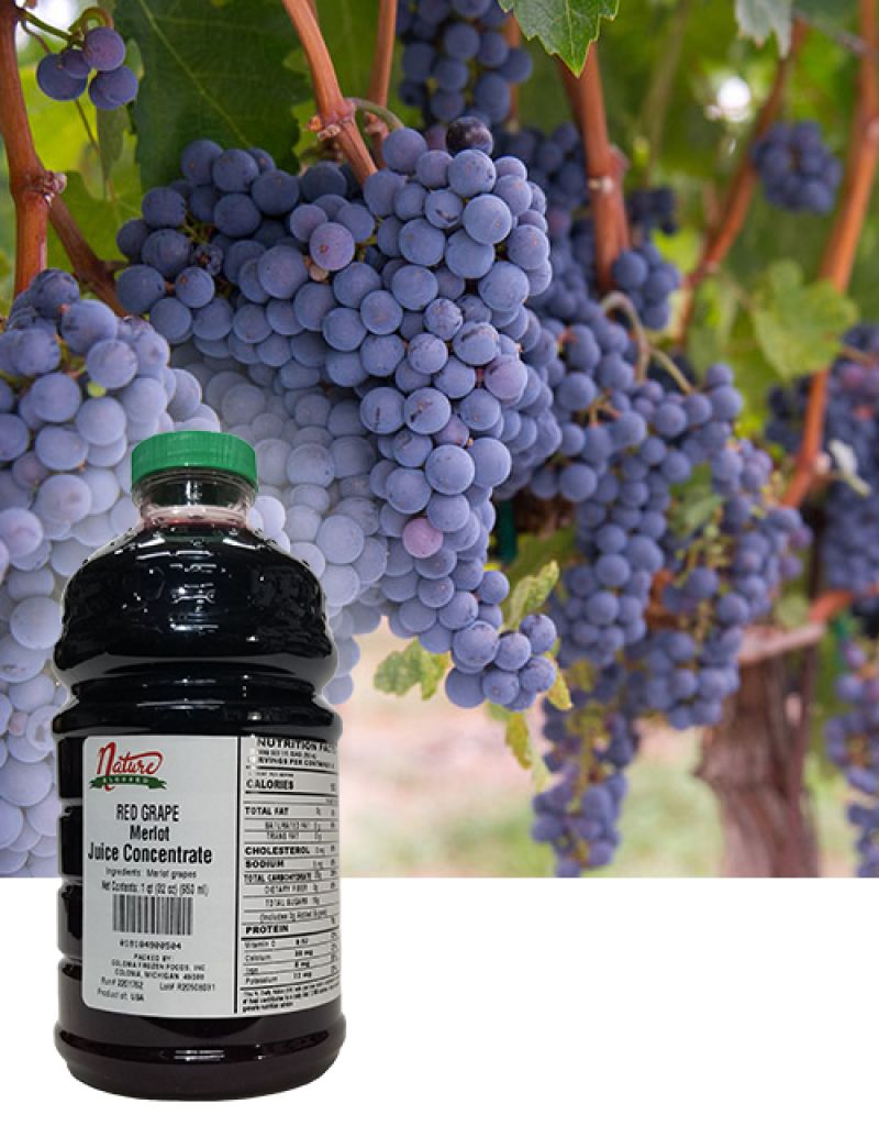Merlot Grape Juice Concentrate for Wine, Beer, Cider, Mead